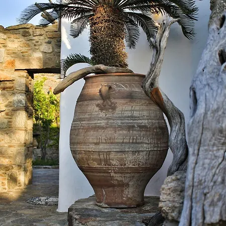 Kounoupas Mykonos Town